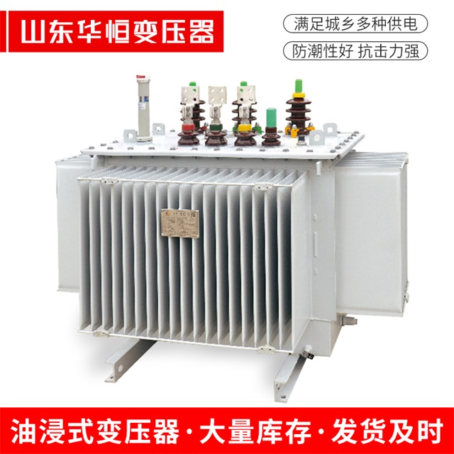 S13-10000/35拜城拜城拜城电力变压器